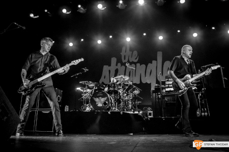 Stranglers Live